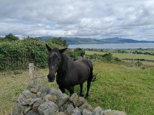 Апартаменты Carlingford Mountain And Sea Views Экстерьер фото